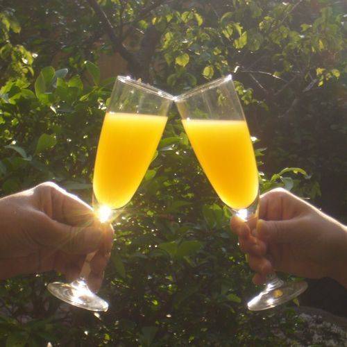 金目鯛メインの会席を
お部屋でじっくり堪能 / 3