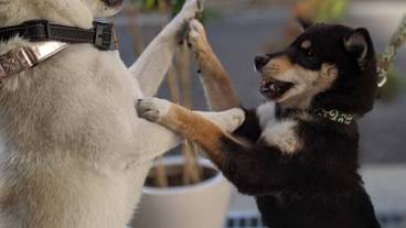 施設の敷地 / 14