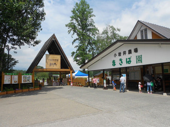 Children will be excited too! Head to Iwate in search of nature and famous noodle dishes! 3370494