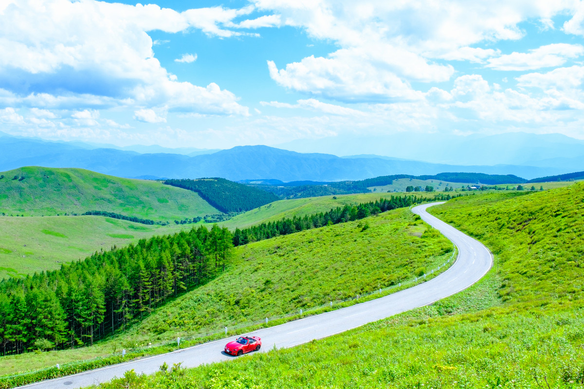 ビーナスライン