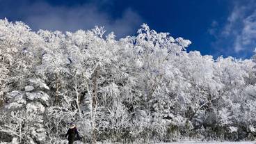スノー スポーツとスキー / 2