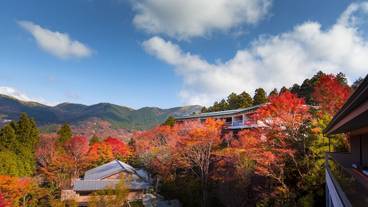 マウンテン ビュー / 9