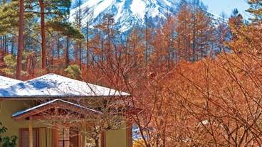 日本庭園と富士山 / 6