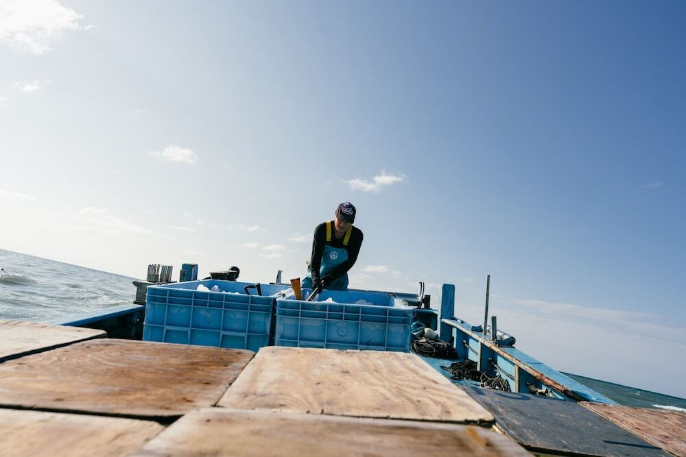 メイン イメージ