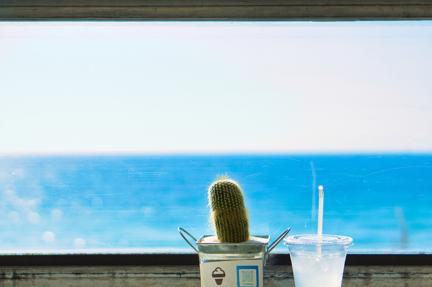 海