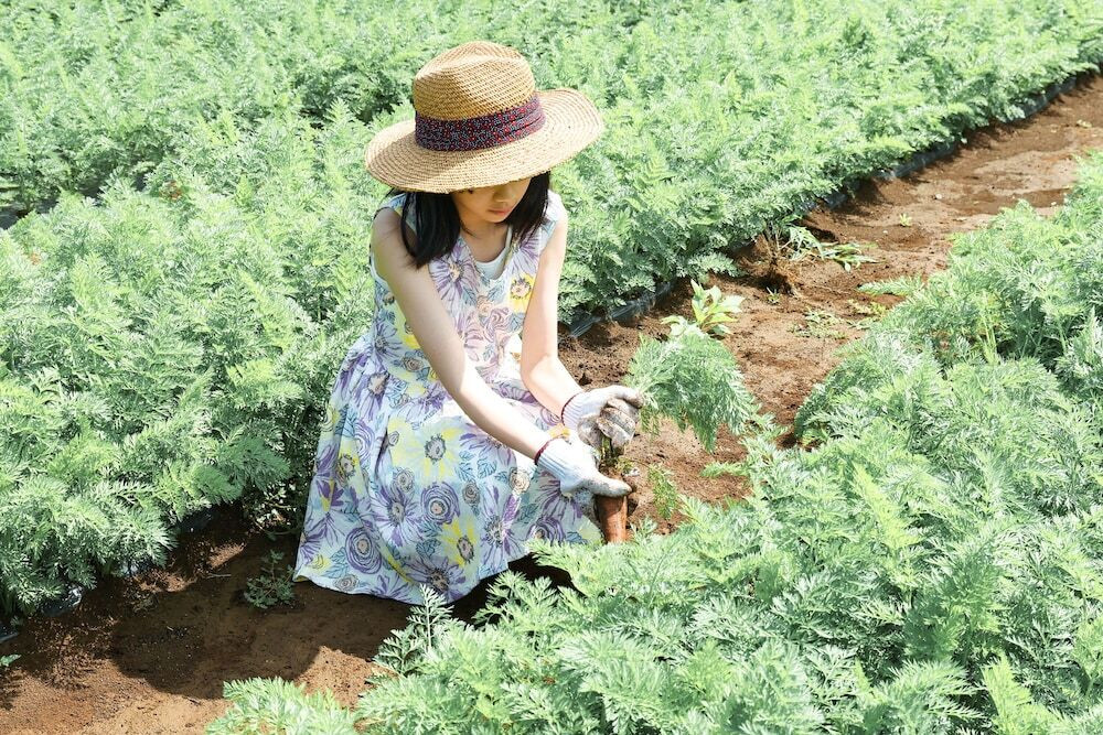 子供向けアクティビティ