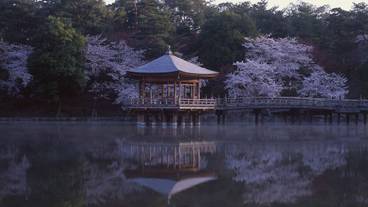 観光スポット / 6