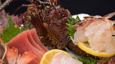 食事・飲み物 / 28