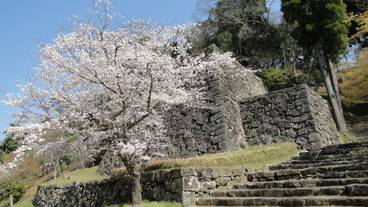 施設からの眺望 / 12