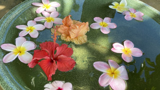 トラディショナル ルーム ベッド (複数台) 禁煙