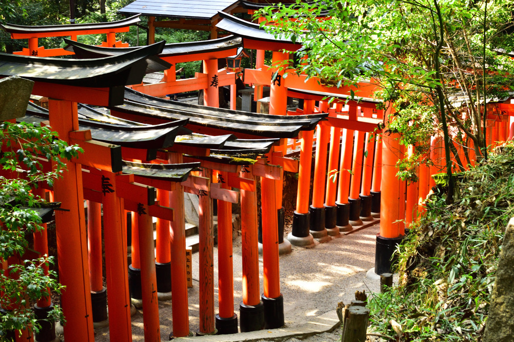 京都旅行にスイーツは欠かせません♡2448971