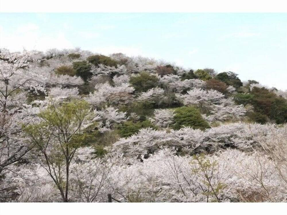 施設からの眺望