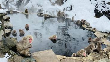 観光スポット / 6