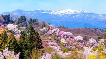 観光スポット / 8