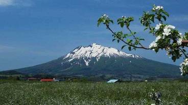 マウンテン ビュー / 17