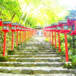 縁結びに水占い。見どころたくさんの京都「貴船神社」が美しい