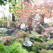 白馬八方温泉 白馬ホテル花乃郷（長野県 旅館） / 4