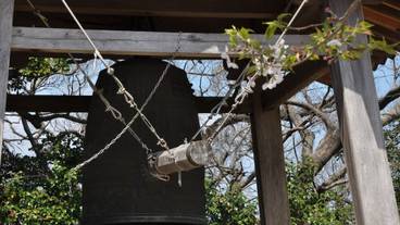 観光スポット / 12