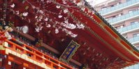 御朱印ガール必見！週末は「東京十社巡り」に出かけよう！