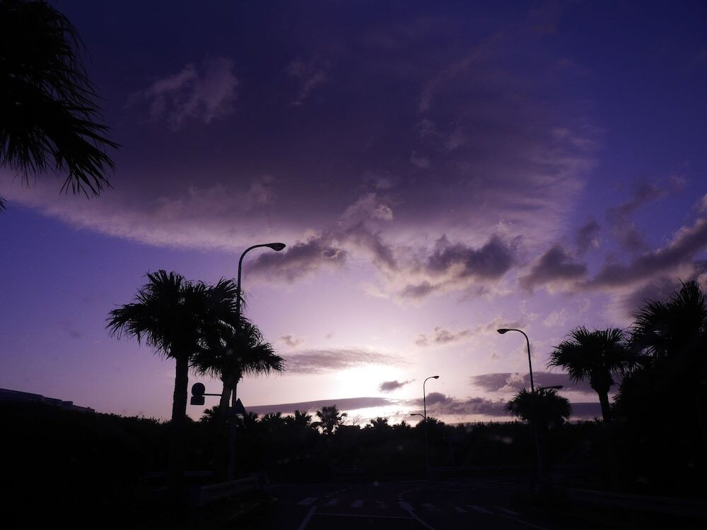 施設からの眺望