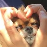 モフモフ触って癒されたい♡全国の動物とふれあえるスポット8選