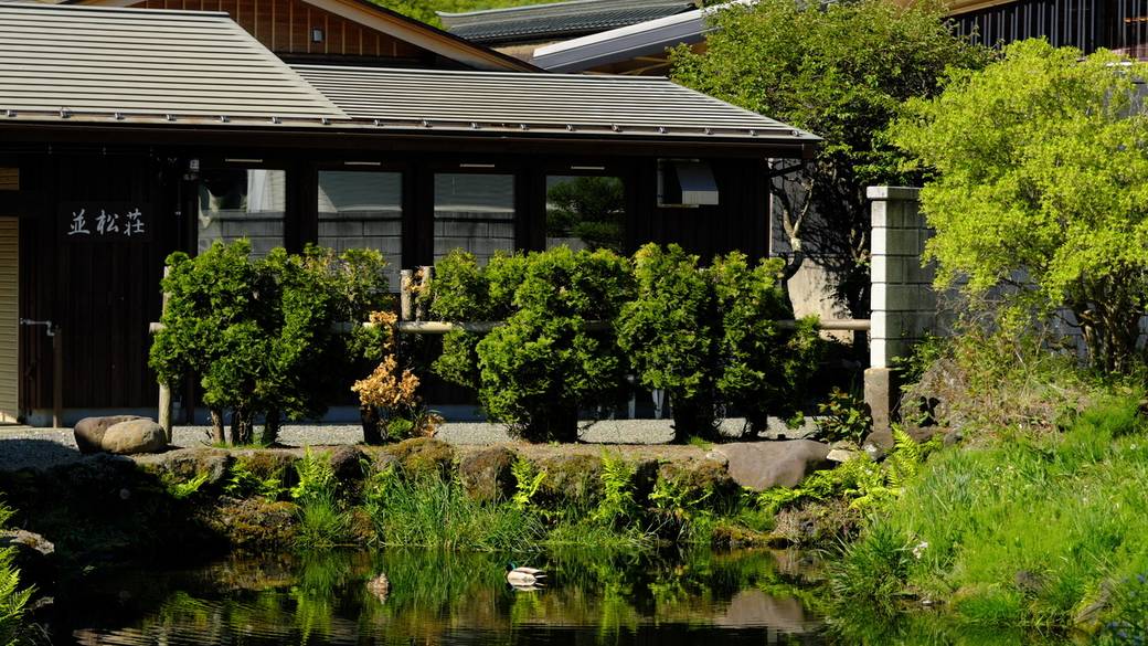 忍野八海 鏡池 / 2