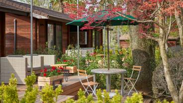 テラスハウス① / 10