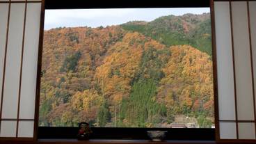 施設からの眺望 / 24