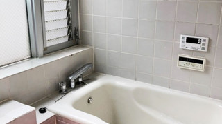 和室アパートメント D (6畳和室 14畳リビング501室 / ペット同宿可)