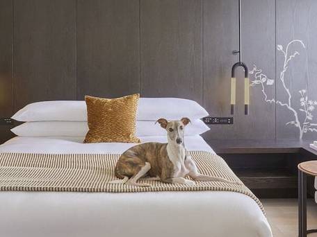 キンプトン新宿東京 / 2