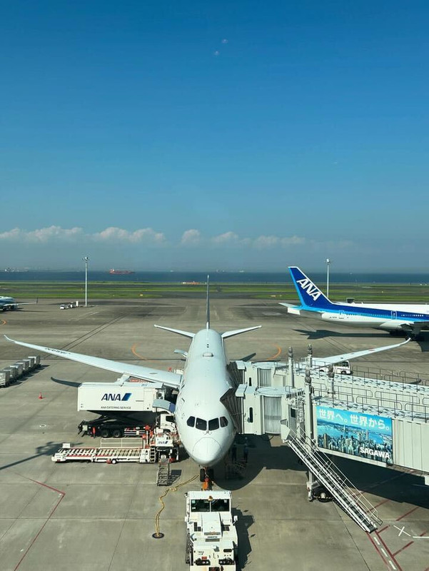 midmoeさんの写真 / 2