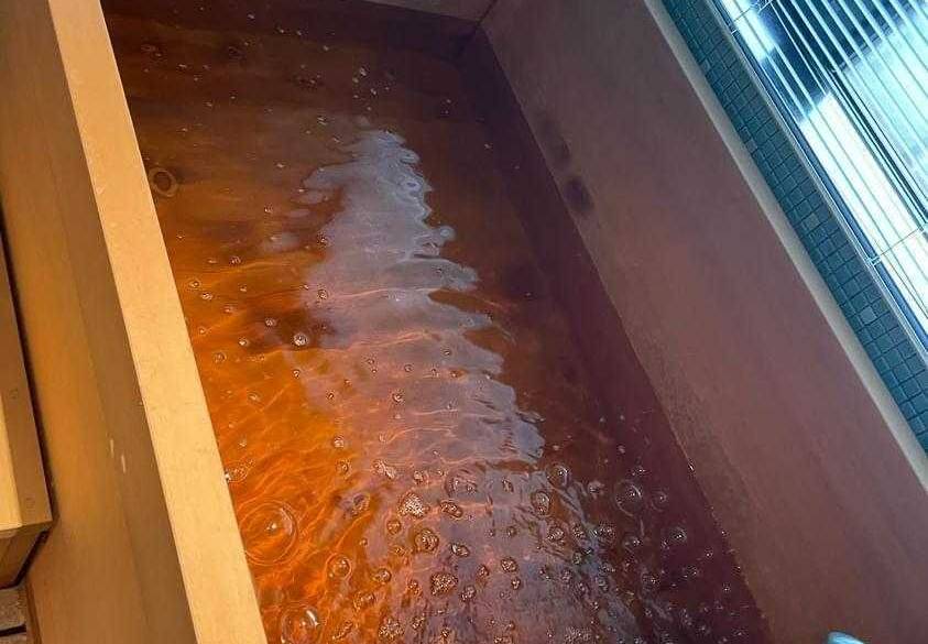 琥珀色のモール温泉 / 3