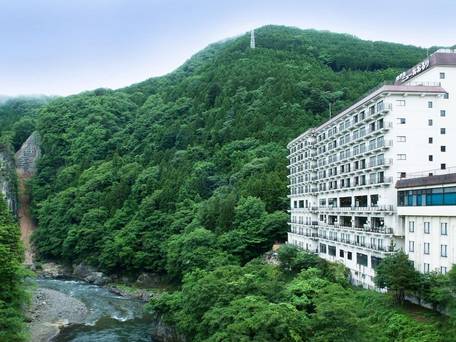 鬼怒川温泉ホテルニューおおるり / 1