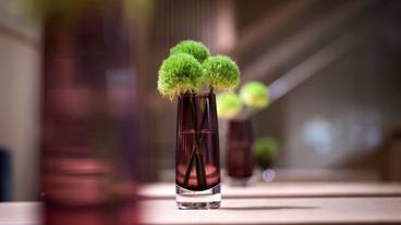 内装の詳細 / 18