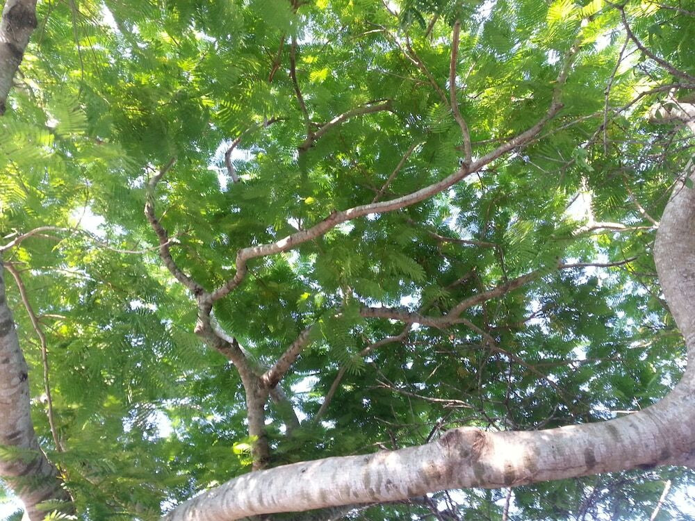 施設からの眺望