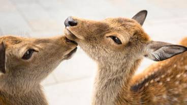 シティ ビュー / 14