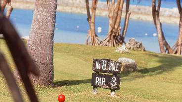 アクティビティ ゴルフ / 9