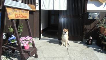 メイン イメージ / 1