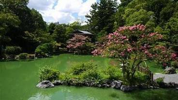 シティ ビュー / 8