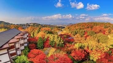 宿の敷地内(秋) / 11