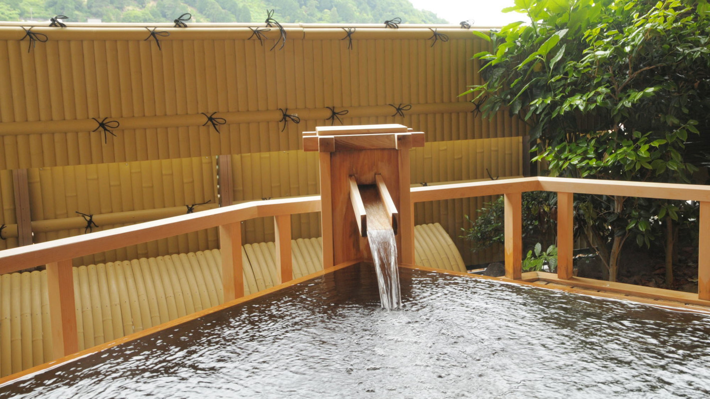 湯河原温泉 川堰苑いすゞホテル（いすず）（ユガワラオンセン カワセギエン イスズホテル） / 4