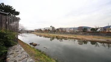 ランド ビュー / 11