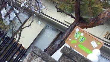 メイン イメージ / 1