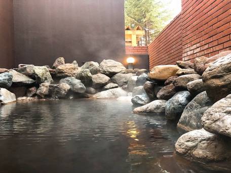 森のスパリゾート 北海道ホテル / 5