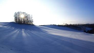 施設からの眺望 / 22