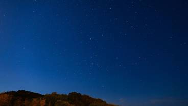 施設からの眺望 / 15