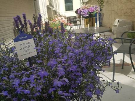 Hotel Blue Empire in 新宿 / 2