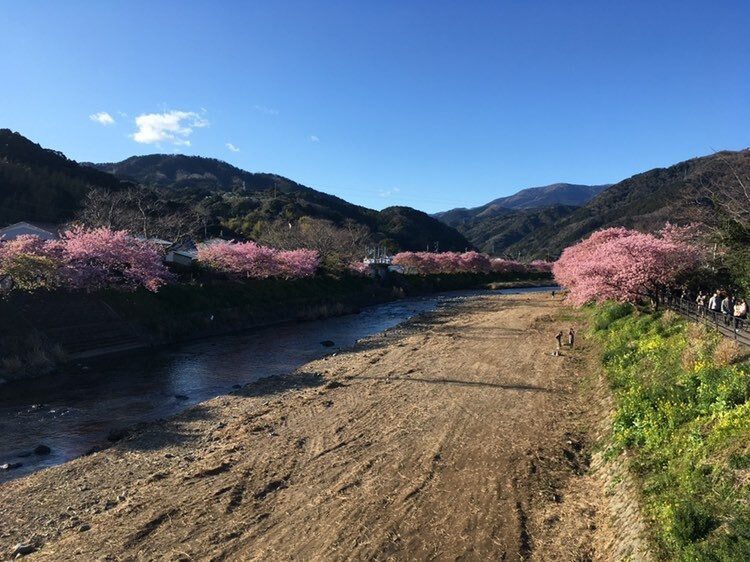toosachiさんの写真 / 2