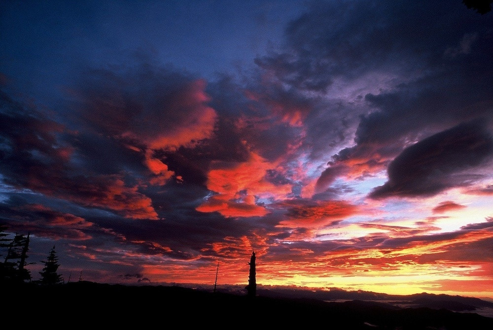 施設からの眺望