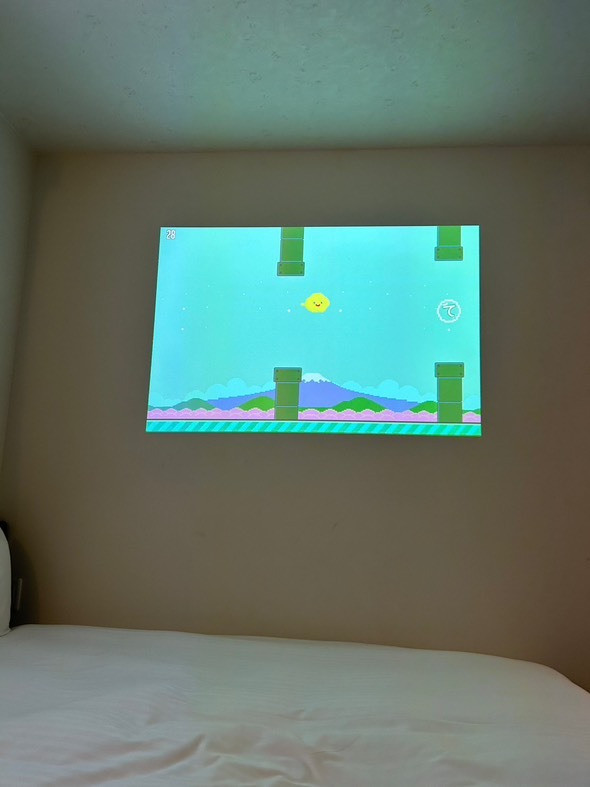 karenren_celloさんの写真 / 1